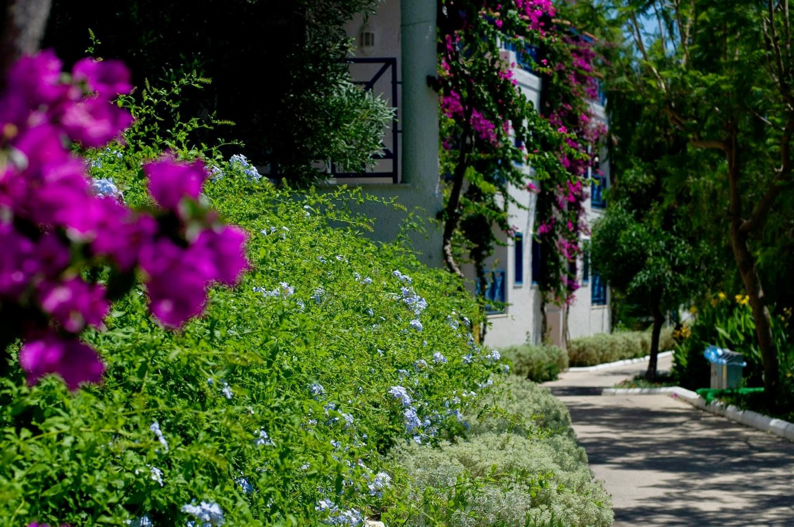 imagini hotel BODRUM HOLIDAY RESORT